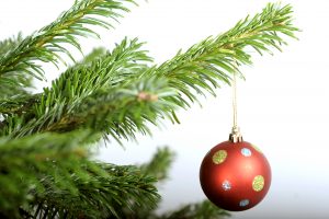 Nordmann Fir Christmas Tree with Bauble